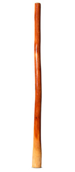 Ironbark Didgeridoo (IB266)